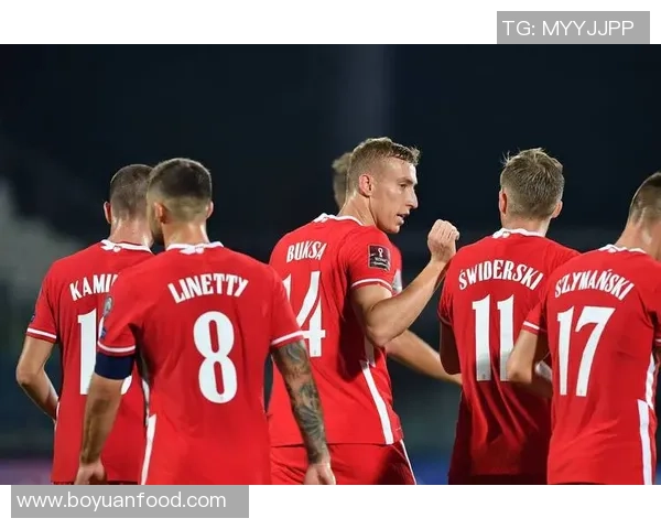 世界杯预选赛精彩对决土耳其迎战保加利亚列支敦士登挑战威尔士 世界杯预选赛精彩对决土耳其迎战保加利亚列支敦士登挑战威尔士