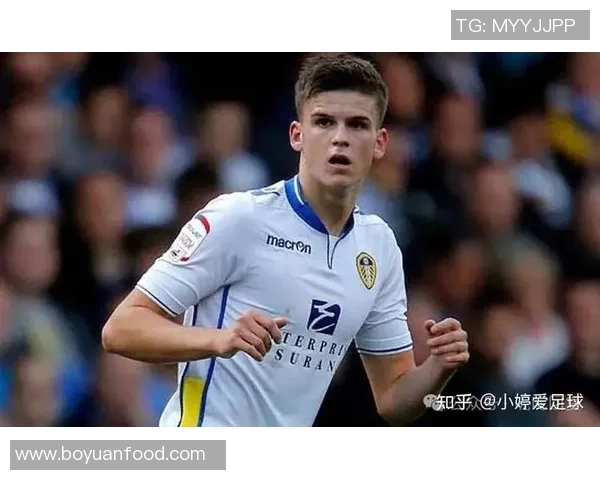 202425赛季五大联赛观众热度分析英超遥遥领先德甲场次满座表现抢眼 202425赛季五大联赛观众热度分析英超遥遥领先德甲场次满座表现抢眼